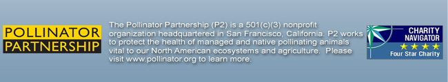 p2 logo