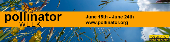pollinatorweek2012